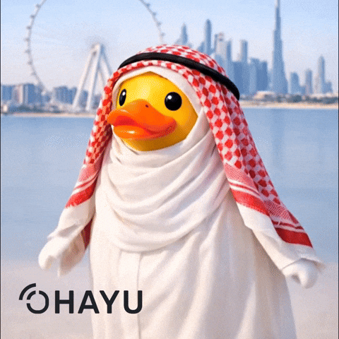 Middle East Travel GIF by Ohayu eSIM