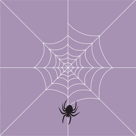 Spider-nest GIFs - Get the best GIF on GIPHY
