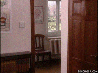 loop door GIF by Cheezburger