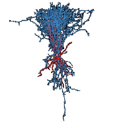 Allen Institute Sticker