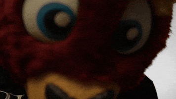 New Mexico Mascot GIF by New Mexico Goatheads