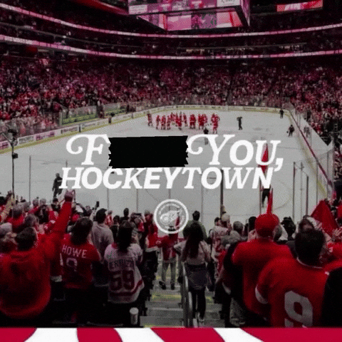 Red Wings Nhl GIF