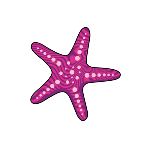 Star Maori Sticker by Opus Entretenimento