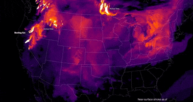 Weather GIF
