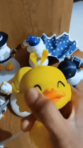 Facewater Duck GIF