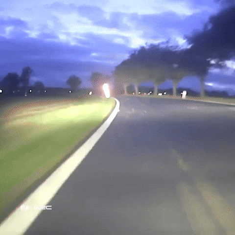 Driving Drive By GIF by FIA World Rally Championship