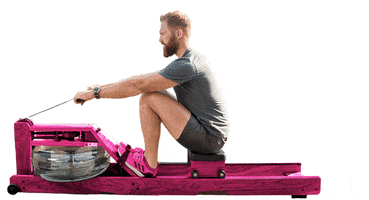 Pink Row GIF by WaterRower Inc.
