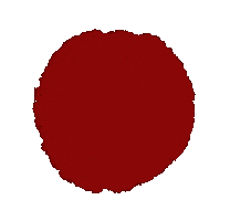 Dommusikverein Linz Sticker