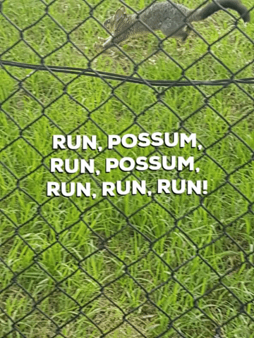 Jump Running GIF
