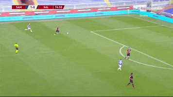 Belec GIF