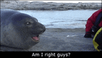 200w.gif