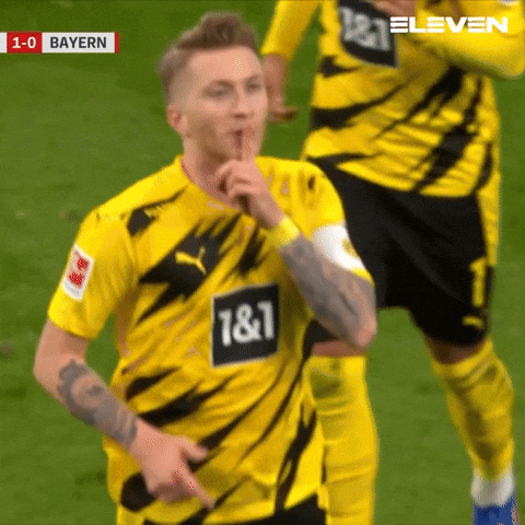 giphy.gif