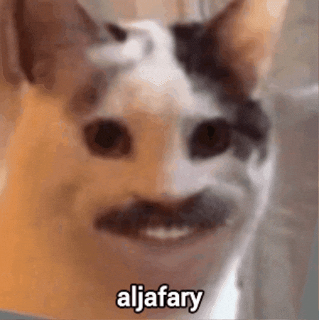 Cat Moali GIF