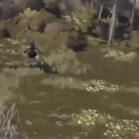 Flipping Game Time GIF