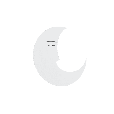 Night Moon Sticker