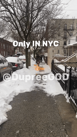 New York Fire GIF by dupreegod