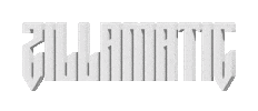 Zillamatic Sticker