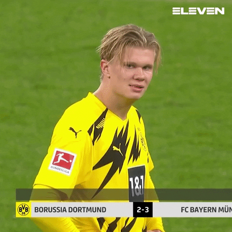Borussia Dortmund Bundesliga GIF by ElevenSportsBE