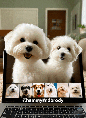 Dogs Puppy GIF by HammyandBrody