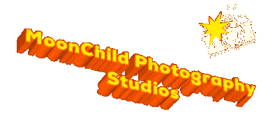 Moonchild Photography Studios Sticker