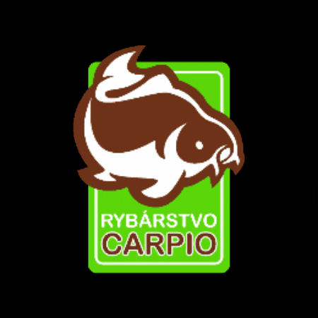 Fish Fishing GIF by Carpio