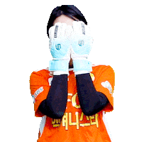 Football Sport Sticker