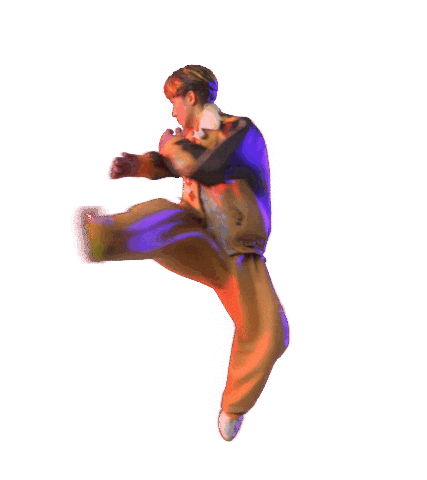 Sthk Kicking Sticker by Secret Tour Hong Kong