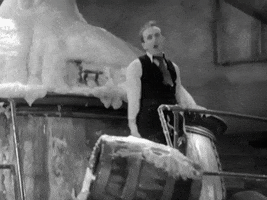 Buster Keaton Mess GIF by Warner Archive