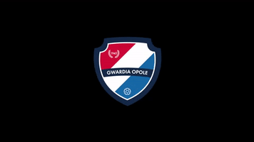 Handball Superliga GIF by Superliga