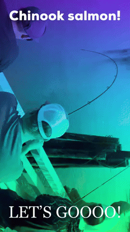 Seattle Washington GIF