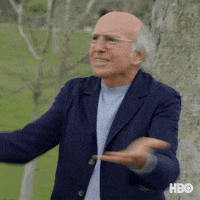 This Is All Your Fault Blame GIF by Curb Your Enthusiasm
