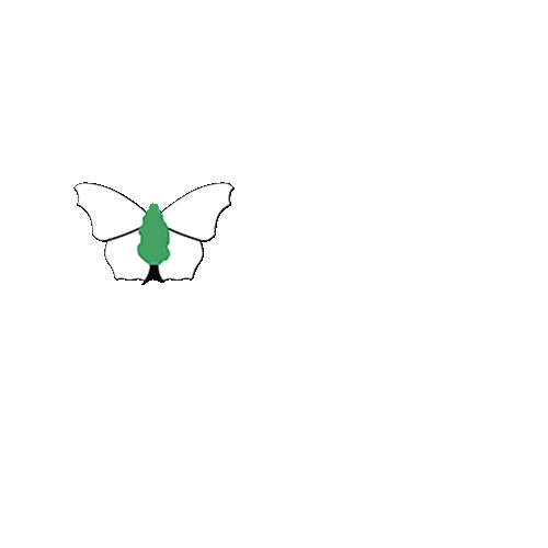Wildlife Butterflies Sticker by Butterfly Conservation