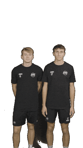 Deutschland Sticker by Volleyball Bundesliga