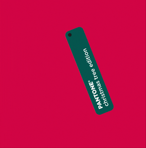 Nexe Impressions GIF