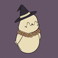 Happy Dance GIF by Sappy Seals Community