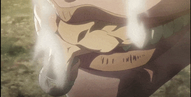 Attack On Titan GIF