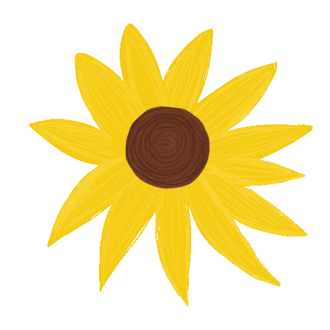Flower Sun Sticker