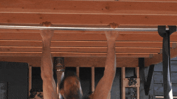 Power Muscle GIF by Big Brother 2021
