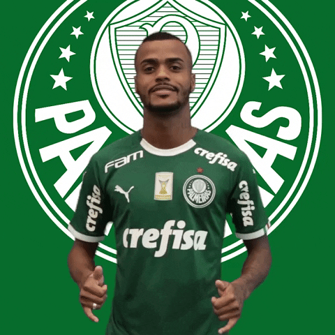 happy felipe pires GIF by SE Palmeiras