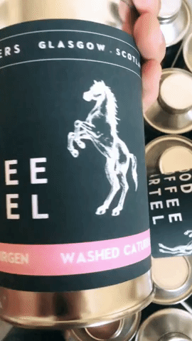 Specialtycoffee Jeduvyberovku GIF by Kofio