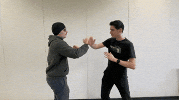 Final Battle Fight GIF