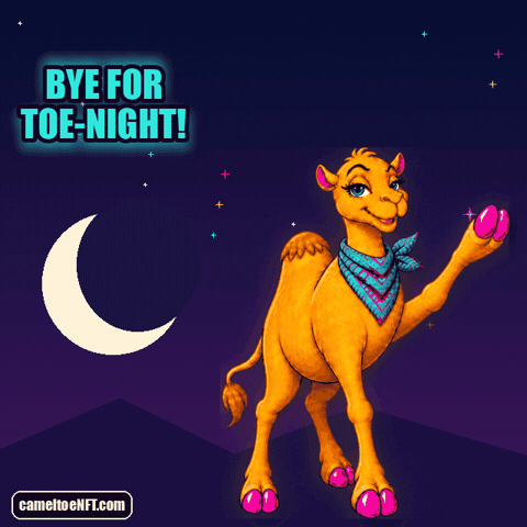 Good Night GIF by CamelToe