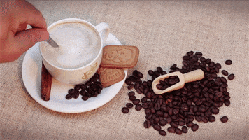 Cup Of Coffee Latte GIF by Berk's Beans Coffee