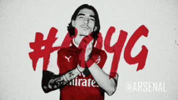 premier league football GIF by Arsenal