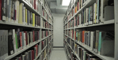Books Library GIF by TIFF