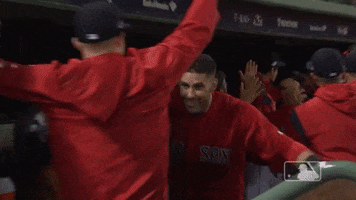 Red Sox Sport GIF by MLB