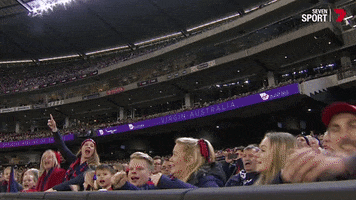 stand up yes GIF by Melbournefc