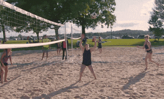 volleyball fraylife GIF by DC Fray
