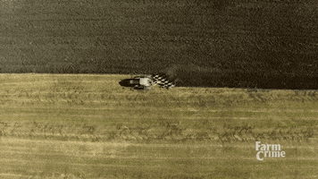 combine to gif gifsicle