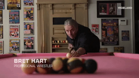bret hart dark side of the ring